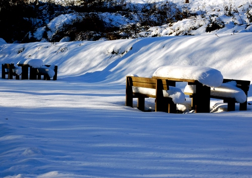 Immagine con neve, inverno, bianco, panchine, tavoli, ombra, panchina, picnic