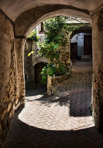 archi, piante, verde, ombra, porte, pianta, arco, vicoli, foglie, finestre, vicolo, portico, strada, scorcio, case, discesa, portoni, muri, salita