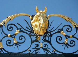 cavallo, oro, ferro, cancello, cielo, testa, azzurro