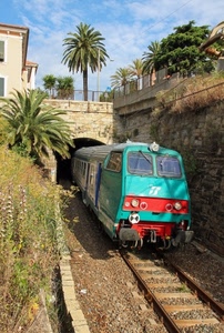 treno, binari, palme, verde, ponte, galleria, alberi, tunnel, palma, piante, ferrovia