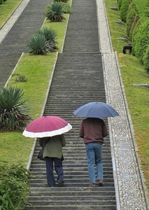 ombrelli, gradini, due, scala, scalinata, piante, scale, verde, passanti