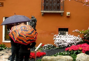 fiori, ombrelli, finestre, colori, statua, aiuola, pioggia, bianco, persone, rosso, ringhiera, sassi, massi, due, piante