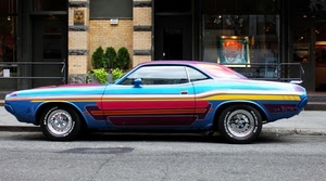 ruote, strada, colori, auto, automobile, macchina, vetrina, rosso, giallo, vetrine, multicolore, piante