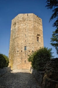 torre, cielo, finestre, pietra, piante, sentiero, castello, cespugli, strada, alberi