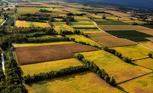 alberi, campi, verde, coltivazioni, giallo, campagna, prati, prato, pianura, rettangoli, colori, panorama, erba, strade, marrone, geometrie, terreno