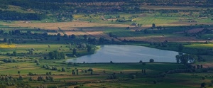 lago, campi, verde, panorama, alberi, campagna, paesaggio, pianura, azzurro