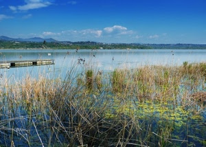 acqua, lago, panorama, vegetazione, cielo, canne, pontile, nuvole, erba