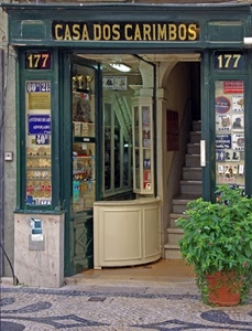 negozio, vaso, pianta, insegna, vetrine, scale, vetrina, numero, scala