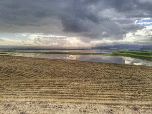 nuvole, cielo, acqua, erba, verde, riflessi, terra, solchi, lago, panorama, deserto, linee, grigio, riflesso, campi, paesaggio, terreno