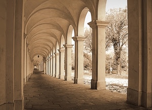 archi, portico, prospettiva, alberi, seppia, pilastri, colonne, portici