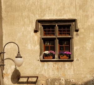 finestra, lampione, ombra, fiori, vasi, muro, croce