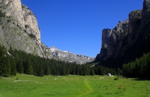 verde, alberi, montagne, cielo, montagna, prato, prati, panorama, paesaggio