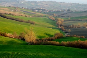 verde, alberi, campi, colline, campagna, prato, paesaggio, prati, panorama, albero, case