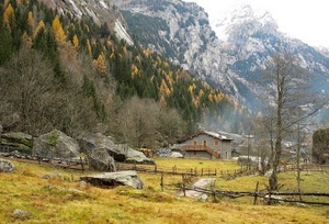 alberi, montagna, casa, staccionata, bosco, montagne, prato, albero, autunno