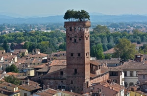 torre, alberi, tetti, panorama, finestre, città, case