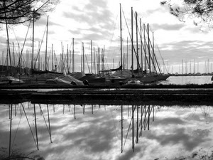 barche, alberi, porto, riflesso, riflessi, bianconero, cielo, nuvole, acqua