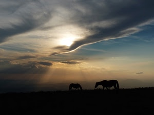 cavalli, nuvole, controluce, raggi, cielo, tramonto, sole, silhouette, due