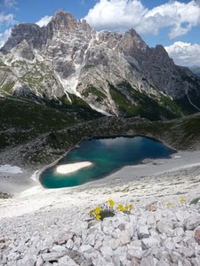 fiori, nuvole, lago, cielo, montagna, montagne, rocce, sassi, pietre, acqua, giallo, verde, neve, panorama, azzurro