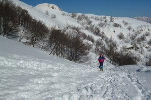 neve, inverno, bianco, montagna, alberi, sciatore, sci