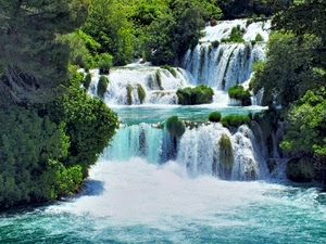 acqua, verde, cascate, alberi, schiuma, cascata, piante, fiume, spruzzi, bianco, cespugli, natura