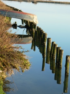 acqua, barca, pali, fiume, riflessi, cespugli, legno, riflesso