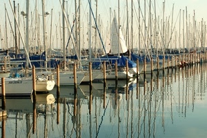 barche, porto, alberi, mare, pali, riflessi, acqua, vela, riflesso