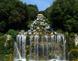 acqua, cascata, alberi, verde, roccia, cielo, piante