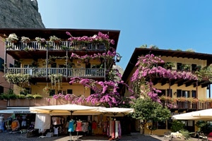 fiori, balconi, ombrelloni, case, piante, cielo, finestre, negozi, vestiti, abiti, mercato, alberi, negozio, palazzi, glicine, azzurro, vasi, montagna, esposizione, ombrellone, rosa