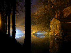 ponte, alberi, riflessi, fiume, acqua, nebbia, luce, notturno, notte, giallo, riflesso