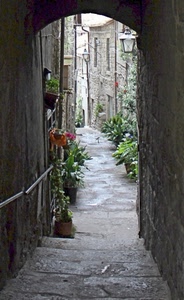 vicolo, arco, piante, strada, vasi, scale, verde, lampione, case