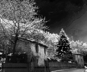 neve, alberi, case, bianconero, inverno, bianco, strada