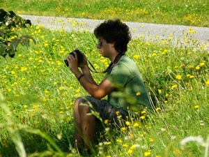 fotografo, fiori, strada, prato, verde, giallo, erba, ragazzo, fotocamera