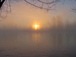sole, nebbia, rami, alberi, acqua, tramonto, fiume, foschia, lago, alba