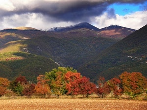 alberi, autunno, montagna, nuvole, campo, paesaggio, montagne, panorama, colline