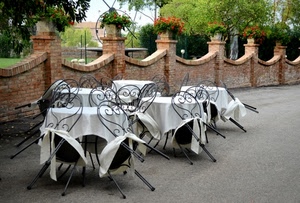 sedie, tavoli, fiori, tovaglie, muro, tavolini, alberi, muretto, vasi, piante, bianco