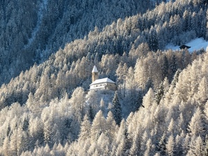 chiesa, inverno, neve, campanile, alberi, montagna, bosco, abeti