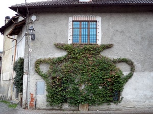 finestra, verde, rampicante, casa, edera, pianta, tetto, lampione, grata, inferriata, foglie, muro, tegole, vaso, vetro, anfora