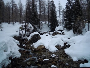 neve, alberi, sassi, ruscello, bosco, acqua, inverno, torrente