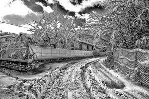neve, strada, alberi, inverno, case, bianconero, rete, paesaggio, bianco