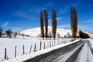 neve, strada, alberi, inverno, bianco, cielo, montagna