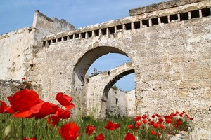 papaveri, rosso, fiori, archi, mura, prato, ruderi, erba, verde, rudere, arco, cielo