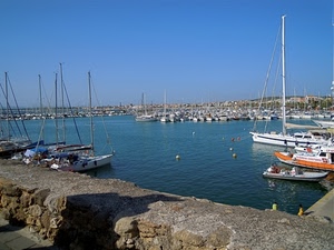 barche, porto, mare, cielo, acqua, porticciolo, boe, alberi