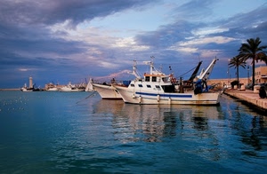 barche, nuvole, porto, mare, acqua, faro, palme, cielo, pescherecci, blu, riflessi, alberi, riflesso
