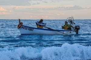 mare, barca, pescatori, acqua, onde, onda, remi, pesca, due
