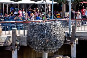 rete, persone, pesca, pesci, pesce, ombrelloni, ringhiera