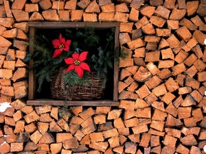 fiori, legna, rosso, cesto, finestra, petali, catasta, quadrato, legno, vaso