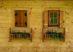 legno, finestre, fiori, due, vasi, imposte, persiane