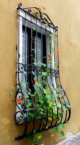 finestra, fiori, ferro, inferriata, foglie, verde, grata, edera, pianta