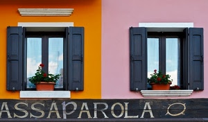 finestre, insegna, due, vasi, fiori, giallo, scritta, rosa, persiane, riflessi, ante