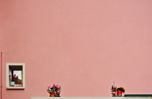 rosa, vasi, finestra, fiori, muro